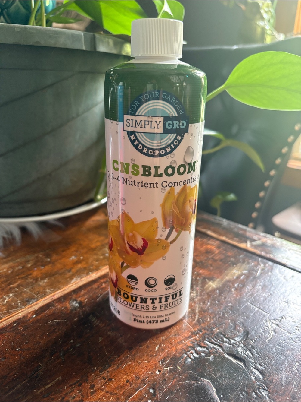 CNS BLOOM 0-5-4 Nutrient Concentrate